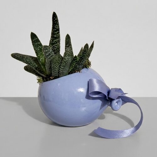 Plant Balloon